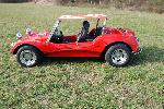 Buggy Apal L,  2330ccm,  130PS,  Wolfrace Felgen etc.